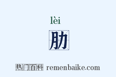 肋是什么意思的图片